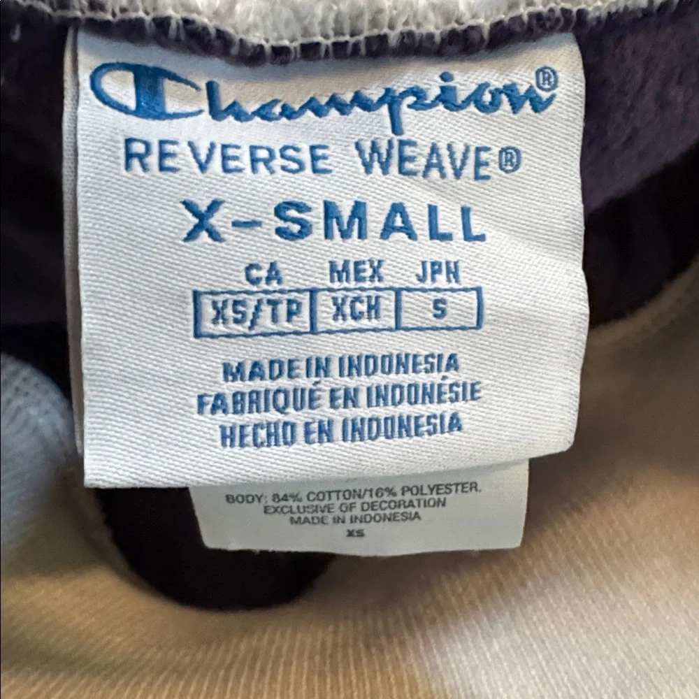 Champion Reverse Weave terry sweatshirt skirt - size XS